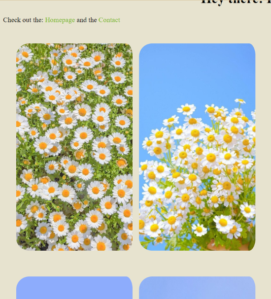 Daisies App