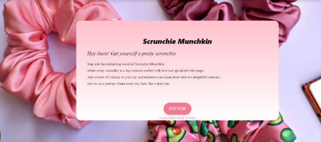 Scrunchie website image